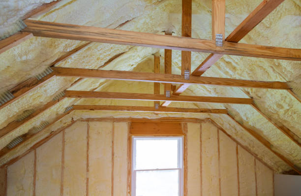 Best Garage Insulation Installation  in Waller, TX