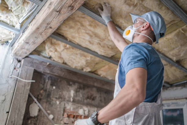 Best Insulation Removal Services  in Waller, TX