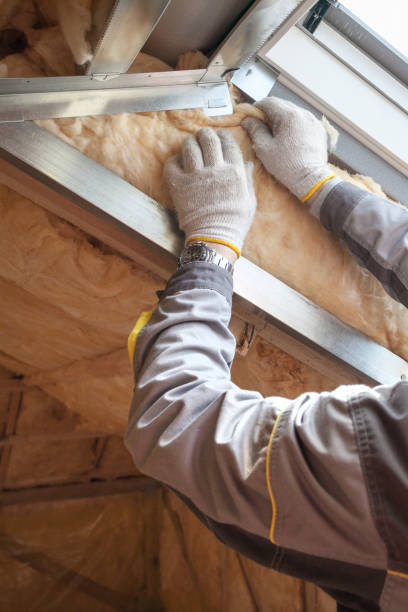 Best Home Insulation Services  in Waller, TX