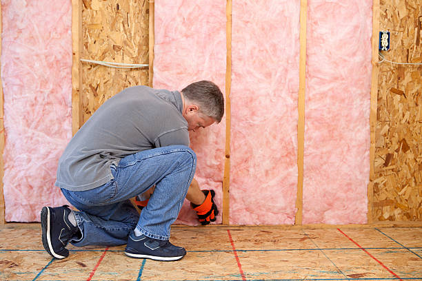 Best Insulation Replacement Services  in Waller, TX