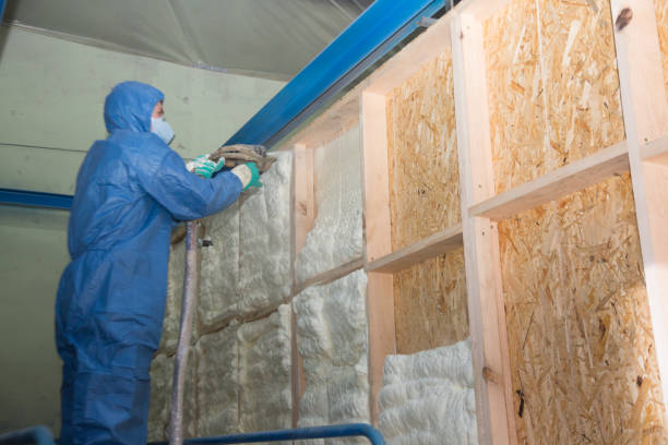 Best Soundproof Insulation Installation  in Waller, TX