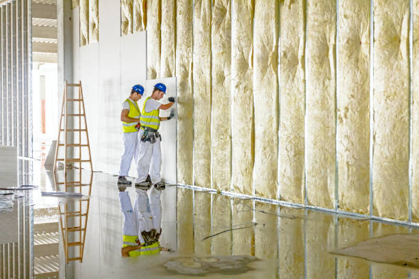 Best Home Insulation Services  in Waller, TX